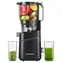 AMZCHEF SJ-036CBK schwarz / Slow Juicer / 250 W / bis zu 50 dB / 2,5 l