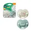 Tommee Tippee CTN Silikon-Schnuller Any Time, 2 Stück, 6-18 Monate - verschiedene Farben