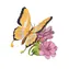 Woodcraft 3D-Holzpuzzle Schmetterling auf Blumen bunt / 80 Teile / ab 8 Jahren / Schwierigkeit: einfach
