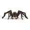 Schleich Wizarding WORLD - Harry Potter 13987 Aragog / ab 6 Jahren