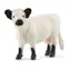 Schleich Farm WORLD 13960 Galloway-Kuh / ab 3 Jahren