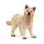 Schleich Tier - Arktischer Wolfswelpe / ab 3 Jahren
