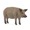 Schleich Tier - Mangalica Schwein / ab 3 Jahren