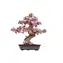 Robotime 3D-Holzpuzzle Bonsai Sakura