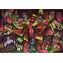 Clementoni 31744 Disney Bösewichte-Puzzle, 1500 Teile / ab 10 Jahren