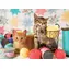 COBBLE HILL Puzzle Softbälle / 1000 Teile / ab 14 Jahren