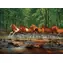 COBBLE HILL Puzzle Trot in Spring Creek / 1000 Teile / ab 14 Jahren