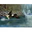 COBBLE HILL Puzzle Angeln im Flug / 1000 Teile / ab 14 Jahren