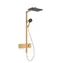 Hansgrohe - Duschset mit Thermostat, 21 x 34 cm, 3 Strahlarten, EcoSmart, gebürstete Bronze