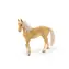 Schleich Horse Club 13911 Achal Tekkiner Hengst / ab 3 Jahren