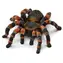 Schleich Wild Life 14829 Keller / ab 3 Jahren