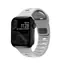 Nomad Sport Strap (SM) Armband für Apple Watch 41 & 40 & 38 mm grau
