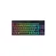 Razer BlackWidow V4 Low-Profile Tenkeyless HyperSpeed Green Switch, schwarz / kabellos. Gaming-Tastatur / mechanisch / US-Tasten