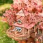 Robotime Sakura Baumhaus / 3D-Holzpuzzle / 535 Teile / Holz / hoher Schwierigkeitsgrad / ab 14 Jahren