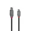 Lindy USB-C 2 m schwarz / USB-Kabel / USB 3.2 / USB-C auf USB B