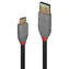 Lindy USB-C - USB-A 0,5 m schwarzes Kabel / USB 3.2 / 10 Gbit/s