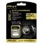 PNY Elite Performance SDXC 256 GB / Speicherkarte / Klasse 10