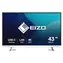 42,5" Eizo EV4340X-WT weiß / Monitor / IPS / 4K UHD / USB-C / KVM / Repro