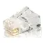 Equip mit RJ45 Cat5e transparentem Stecker / ungeschirmten, vergoldeten Kontakten / 100 Stück.