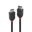 Lindy Black Line / Anschlusskabel / DisplayPort 1.2 / 1 m / 4096 x 2160