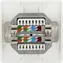 Schwaiger STP Cat6 weiß / Datenbuchse / 2xRJ45 / Unterputz / geschirmt