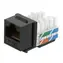 Xtendlan Keystone CAT6 schwarz / Netzwerkanschluss / RJ45 / UTP / 90° / Oben montiert