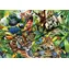 Schmidt Puzzle Bunte Tierwelt / 1500 Teile / ab 12 Jahren