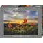HEYE Puzzle Moltebeeren / 1000 Teile / Alexander von Humboldt Edition / 70 x 50 cm