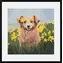 GRAFIX Diamantmalerei Hund in Narzissen / 30x30 cm
