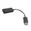 Lenovo DisplayPort-zu-HDMI-2.0b-Adapter, schwarz / Reduzierung / 4K 60 Hz / 0,225 m