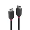 Lindy Black Line / Anschlusskabel / DisplayPort 1.2 / 2 m / 4096 x 2160