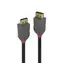 Lindy Anthra Line DisplayPort 1.4 schwarz / Verbindungskabel / DisplayPort - DisplayPort / 5 m / 4096 x 2160 px / 120 Hz