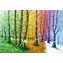 MAGNOLIA Puzzle „Fäden des Lebens“ / 1000 Teile / 68 x 48 cm