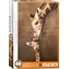 EUROGRAPHICS Puzzle Giraffenkuss XL / 500 Teile / extra große Teile / 48,9 × 68 cm