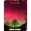 HEYE Puzzle Kraft der Natur: Sycamore Gap / 1000 Teile / 50 x 70 cm