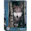 EUROGRAPHICS Puzzle Grauer Wolf / 1000 Teile / 48,89 x 67,63 cm