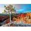 EUROGRAPHICS Puzzle Winterdämmerung, Bryce Canyon / 1000 Teile / 67,63 × 48,89 cm