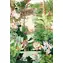 MAGNOLIA Puzzle Dschungel / 1000 Teile / 48 x 68 cm