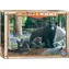 EUROGRAPHICS Puzzle Neue Entdeckungen / 1000 Teile / 68 × 48 cm