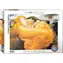 EUROGRAPHICS Puzzle Blazing June / 1000 Teile / 68 x 48 cm
