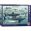 EUROGRAPHICS Puzzle Haie / 1000 Teile / 67,6 x 48,9 cm