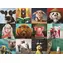 EUROGRAPHICS Puzzle Lustige Tiere / 1000 Teile / 68 x 48 cm