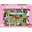 Schmidt Puzzle Schöne Pferde / 150 Teile / 43,2 × 29,1 cm