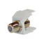 SCHRACK Keystone-Modul Koaxial-FF-Koppler / Keystone-Modul / 75 Ohm