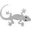 Compass Aufkleber Gecko silber / Aufkleber / Fahrzeugaußenbereich / Gecko-Design