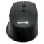 TERRA Mouse 4000 schwarz / Maus / Kabellos / Leise / 6 Tasten / Für Rechtshänder