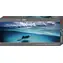 HEYE Panoramapuzzle Stachelrochen (Kaimaninseln) / 1000 Teile / 94 × 33 cm