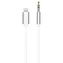 AUX-Kabel Lightning - 3,5-mm-Klinkenstecker, silber / Audiokabel / für Apple iPhone