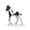 Schleich Sammlerfohlen Rocky / Horse Club / ab 4 Jahren