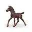 Schleich Horse Club Sammlerfohlen Ravi / ab 4 Jahren